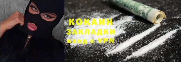 крисы Няндома