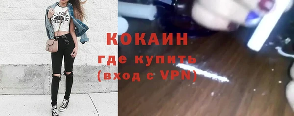 прущие грибы Баксан