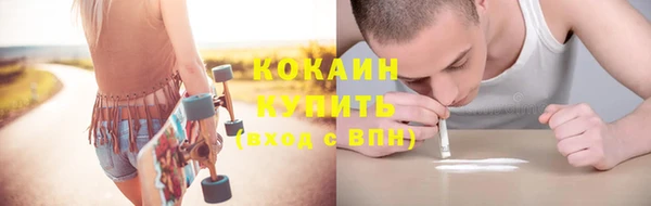 прущие грибы Баксан