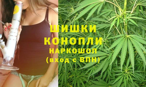 крисы Няндома