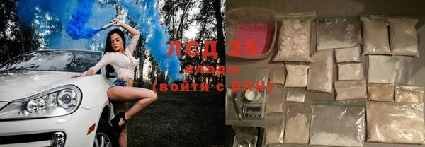 крисы Няндома