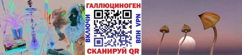 гидра вход  Тарко-Сале  Псилоцибиновые грибы мухоморы 